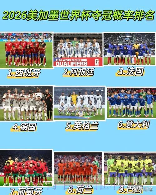 2026年世界杯竞猜平台推荐及安全购彩渠道指南