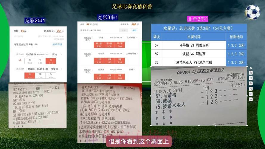 世界杯竞猜平台如何挑选？资深球迷分享实用心得